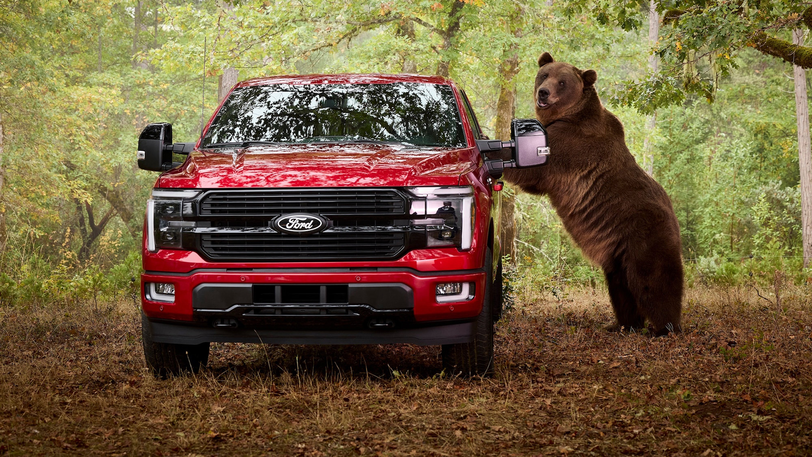 Η Ford προσέλαβε μια αρκούδα 360 κιλών για να «σπάσει» το νέο F-150! 